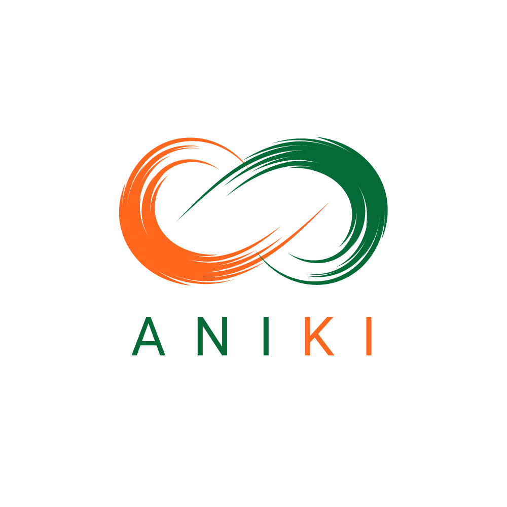 Aniki Innovations